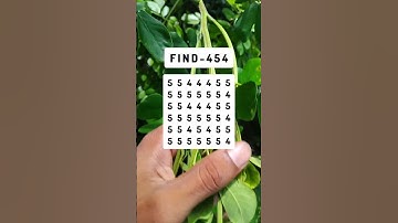 FIND-454 #shorts #puzzlegame #brainteasers