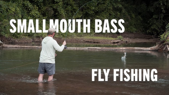 Using a Clear Intermediate Fly Line to Sink Flies for Smallmouth