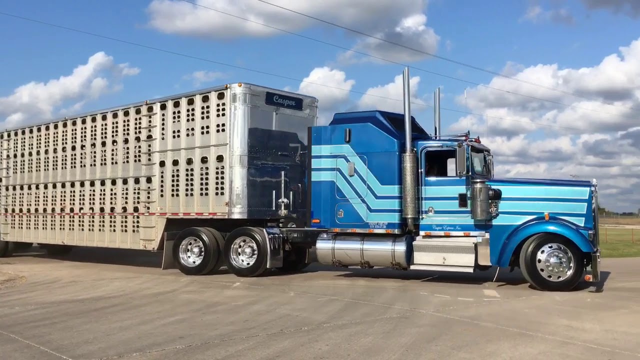 Busted Knuckles 2019 YouTube