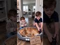 "He is supposed to be guarding the house