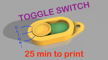 Toggle switch fidget toy