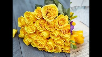 Top 11 loài hoa tượng trưng cho tình bạn có thể bạn chưa biết