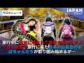 旅行中に毒蛇に噛まれて意識を失ったアメリカ人女性、旅行に来た日本の山岳会のおばちゃんたちが取り囲み始めるが