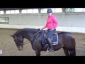 Developing a longer leg in the sitting trot by Equi-learn