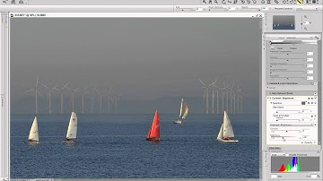 Capture NX2 Workflow Selective Adjustments 2