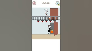 Thief Puzzle Level 284