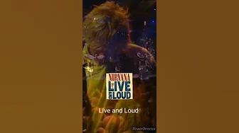 Nirvana All Apologies Which Live Performance Has The best Into #shorts