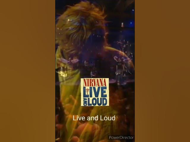 Nirvana All Apologies Which Live Performance Has The best Into #shorts Nirvana All Apologies Which Live Performance Has The best Into #shorts