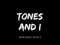 DANCE MONKEY _ TONES AND I _ MARIMBA RINGTONE