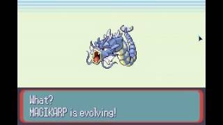Pokemon Magikarp evolves to Gyarados Details