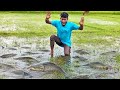 Unbelievable Giant Fish Found in Shallow Water | Full Fishing Video