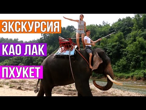 ЭКСКУРСИИ НА ПХУКЕТЕ - КАО ЛАК | СЛОНЫ, СПЛАВ ПО РЕКЕ, ЧЕРЕПАХИ ☼