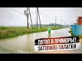 СПАСАЕМСЯ от ЛИВНЯ в Приморье: ЗАТОПИЛО Палатки | Перегон Toyota Noah из Владивостока  в Челябинск.