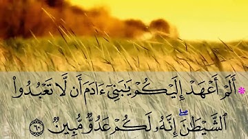 لأول مرة بتقنية 8d 🎧ماتيسر من سورة يس بصوت الأخ عبد الإله حيمر بمسجد عقبة بن نافع عين نعجة