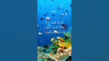 (لا يُكلف الله نفسًا إلا وسعها) تلاوة هادئة تريح الأعصاب😴🎧للقارئ مصطفى جبل