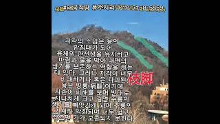 #입수용 #청오경 #부록편 #광주사주 #태공작명 #사주궁합  #타로 풍수지리 010~7168~5859