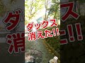 納車したてのダックス125で暗峠に挑戦したバイク女子の身に起きた悲劇 #Shorts