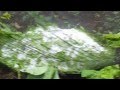 Marumbi - Chuva de granizo faz estragos
