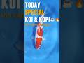 KOI PREMIUM SEHARGA CANGKIR KOPI ☕🔥