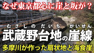 東京・武蔵野台地  都心の坂を見て回る 海と川が削った海食崖