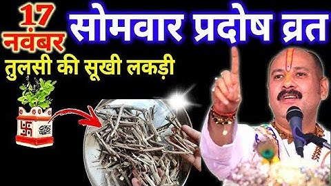 17 नवंबर मार्गशीर्ष सोमवार प्रदोष व्रत को तुलसी की सुखी लकड़ी वाला उपाय जरुर करे | Pradeep Ji Mishra