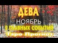 ДЕВА 🚀🚀🚀♍ НОЯБРЬ 5 Главных СОБЫТИЙ месяца Таро Прогноз гадание онлайн Angel Tarot