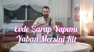 Evde Şarap Yapımı Hazır Kit Orman Meyveli Yaban Mersini #evdeşarapyapımı #evyapımışarap #trend #fyp