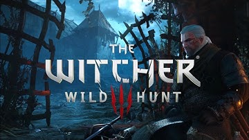 [PS5][The Witcher 3 Complete Edition][EP12][Novigrad Mission I]