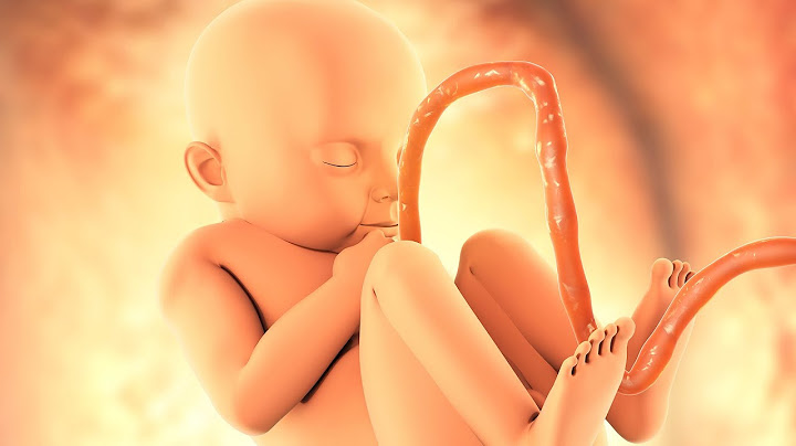 Le avventure di un feto nella pancia della mamma