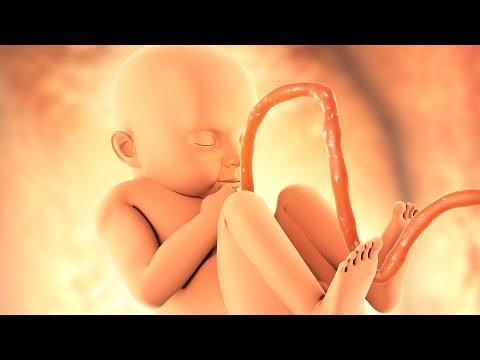 Video: I feti fanno la cacca nell'utero?