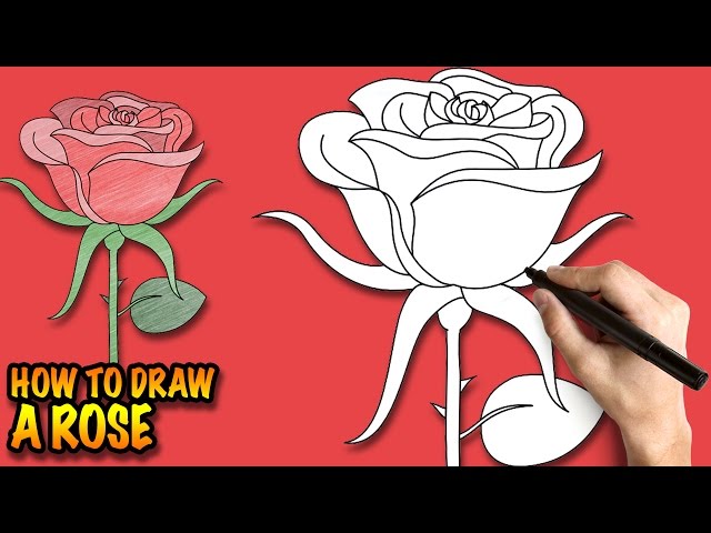 How to Draw a Rose - Learn 3Three Rose Drawings Step by Step