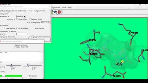 Molecular docking AUTO DOCK Vina visualization-2020