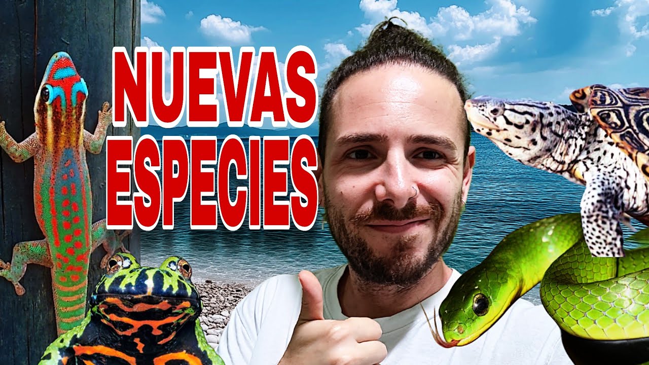 UNBOXING 2// Seres INCREÍBLES!// JOSEP y sus CONSEJOS de SABIO!