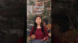 Mengapa Natal Identik dengan Pohon Cemara