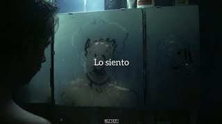 Video thumbnail of "Un León Marinero - Malvas (Letra)"