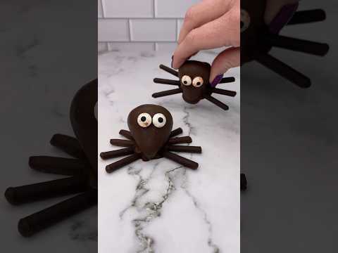 Chocolate covered spider