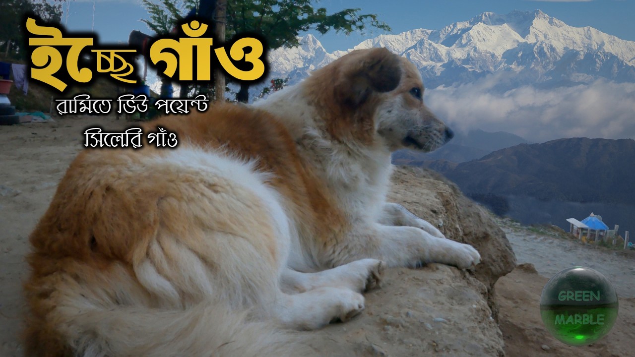 সিলেরি গাঁও | ইচ্ছে গাঁও | Offbeat Kalimpong | Darjeeling Part 03 | Ramitay View Point Homestay info