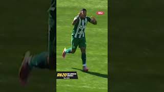 A CHAPECOENSE DIMINUI A VANTAGEM DO AVAÍ NA FINAL DA COPA SUL-SUDESTE 🤯 #futebol #chapecoense