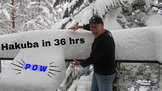 A Few Big Pow Days In Hakuba, Japan Dec 2020
