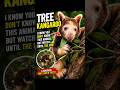 This Animal Lives in Trees and Nobody Talks About It #wildlife #rear animals #shorts