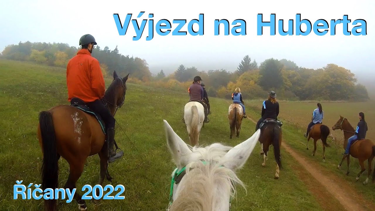 Další výzva splněna 💪 Hubertova jízda 🏇 Přeprava koní v dodávce 🚚 VLOG