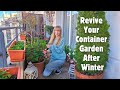 6 tips to revive your container garden after winter