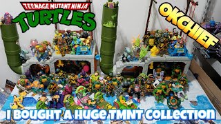 I Bought A Huge TMNT Action Figure Collection 2021