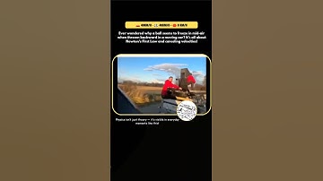 Why the Ball Stops Mid-Air When Thrown Backwards in a Moving Car #shorts #viral #science