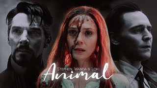 Stephen, Wanda & Loki // Animal [AU Part 2]