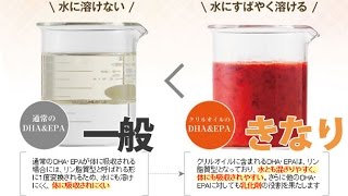 きなりDHA&EPAサプリメントが他の商品と違う訳？