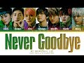 NCT Dream &#39;Never Goodbye&#39; Lyrics (엔시티 드림 북극성 가사) (Color Coded Lyrics)