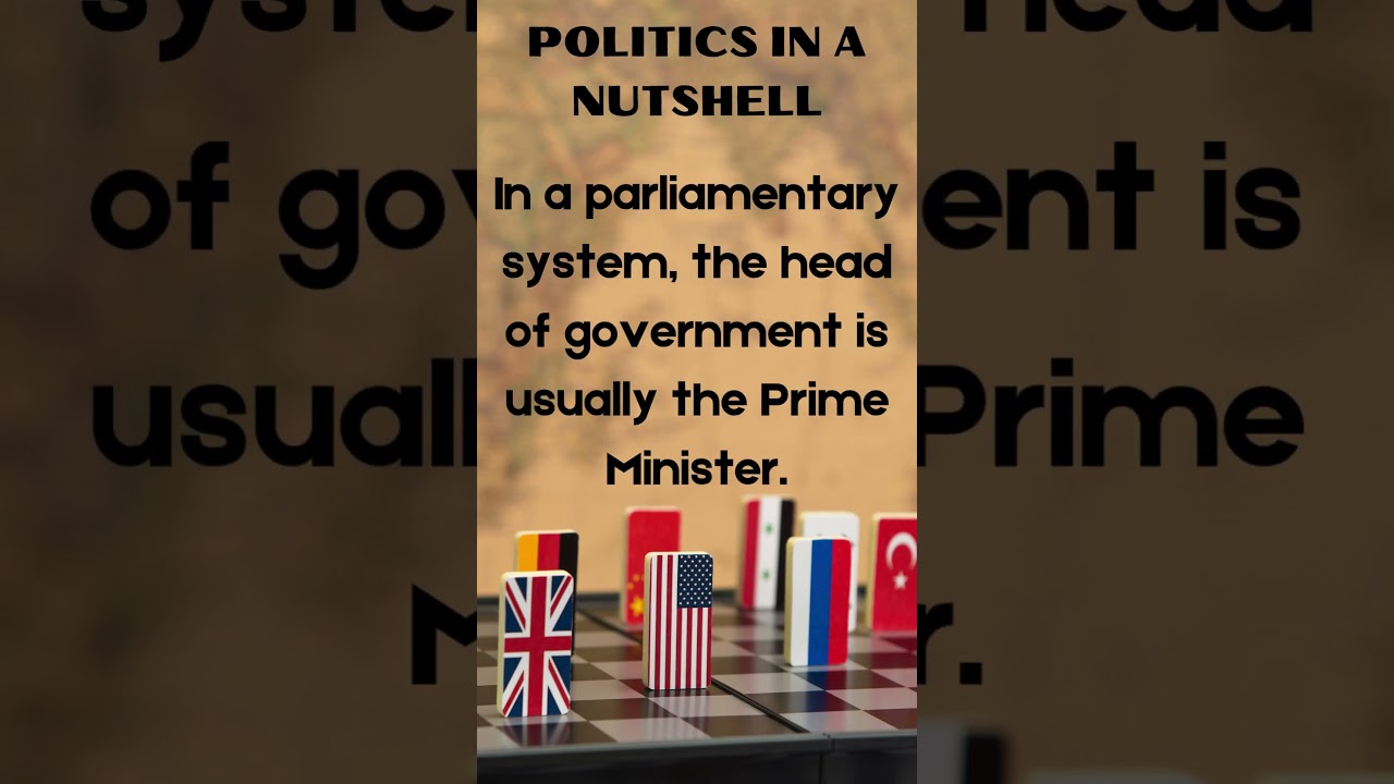 politics in a nutshell 