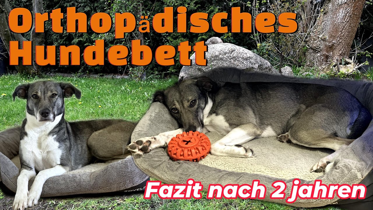autoreifen aufbewahrung ALL Reifenregal fr 8 Reifen | Lager & Keller