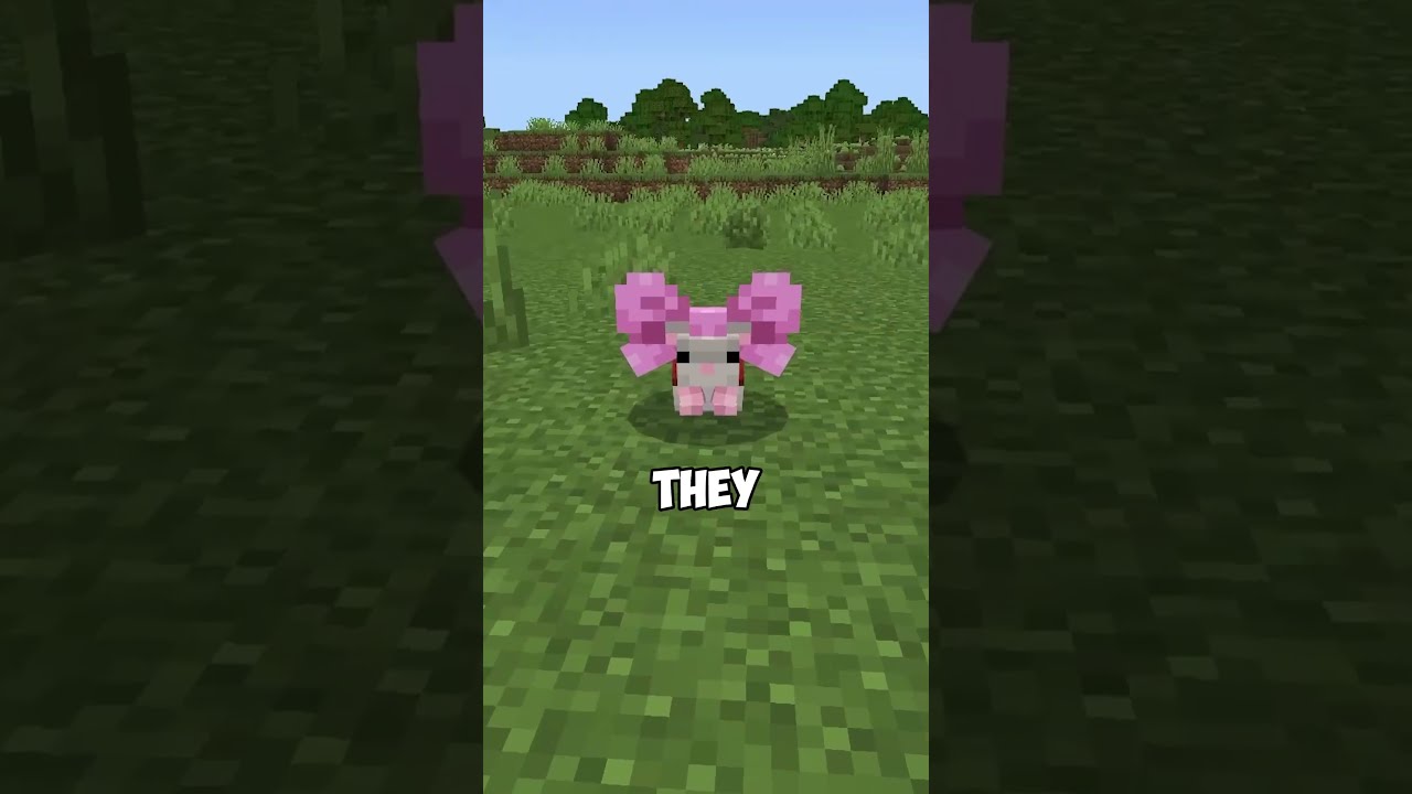 What If Minecraft Had Hamsters 